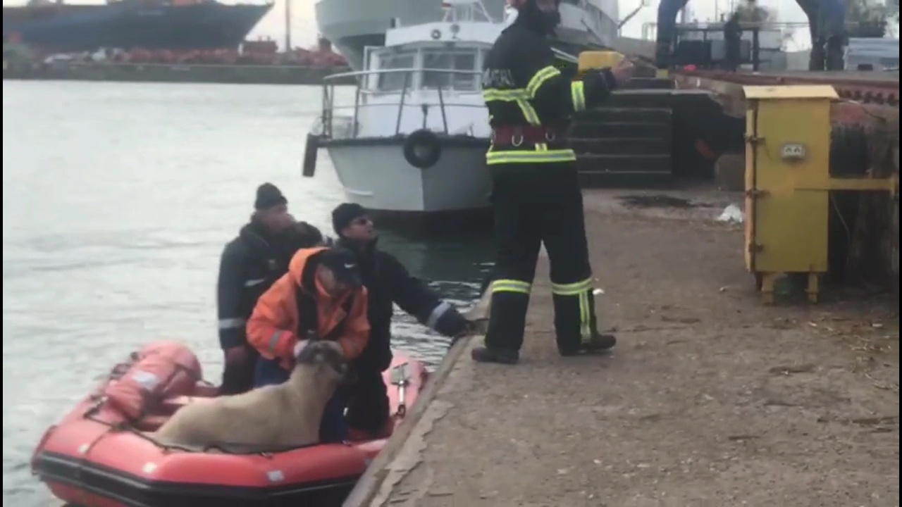 Cablurile de ridicare a navei au cedat