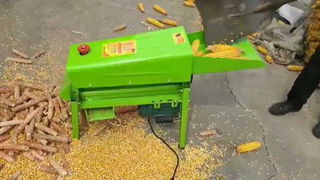 Cum depozităm corect porumbul?