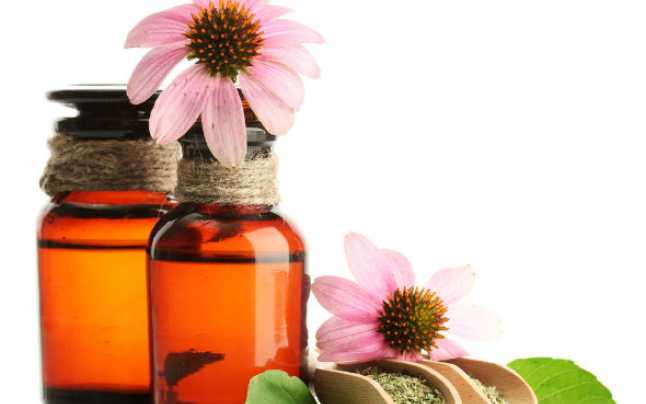 Cum te ajuta echinaceea ca tratament antiviral si activator al sistemului imunitar