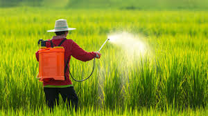 Erbicide pentru cresterea culturilor sanatoase