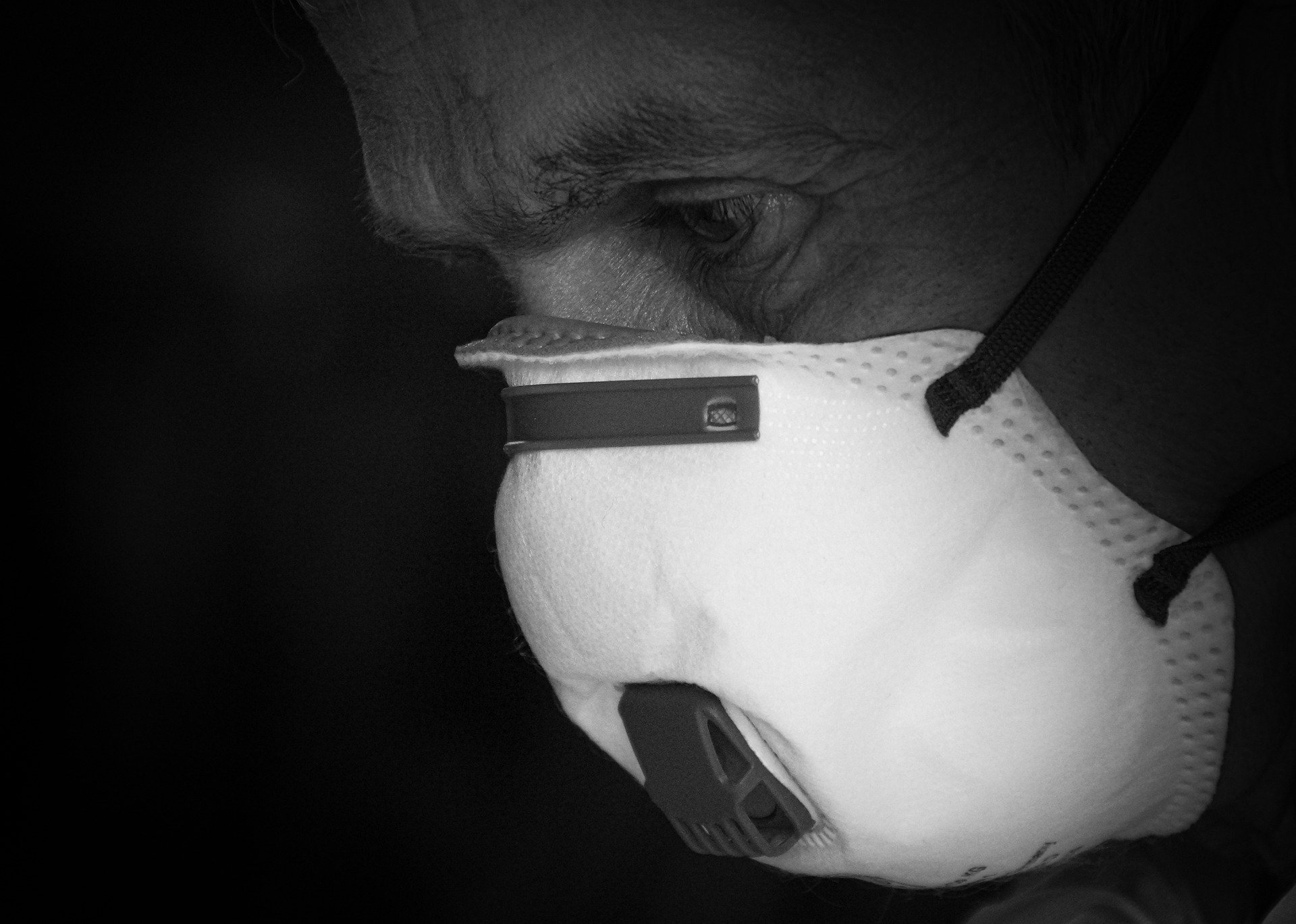 STUDIU. Câți ani ar mai fi trăit oamenii, dacă nu ar fi fost uciși de coronavirus