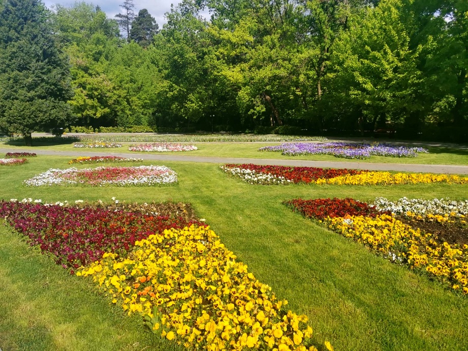 Pieţe Prest Râmnicu Vâlcea – Numărul 1 în administrarea pieţelor agroalimantare şi spaţii verzi