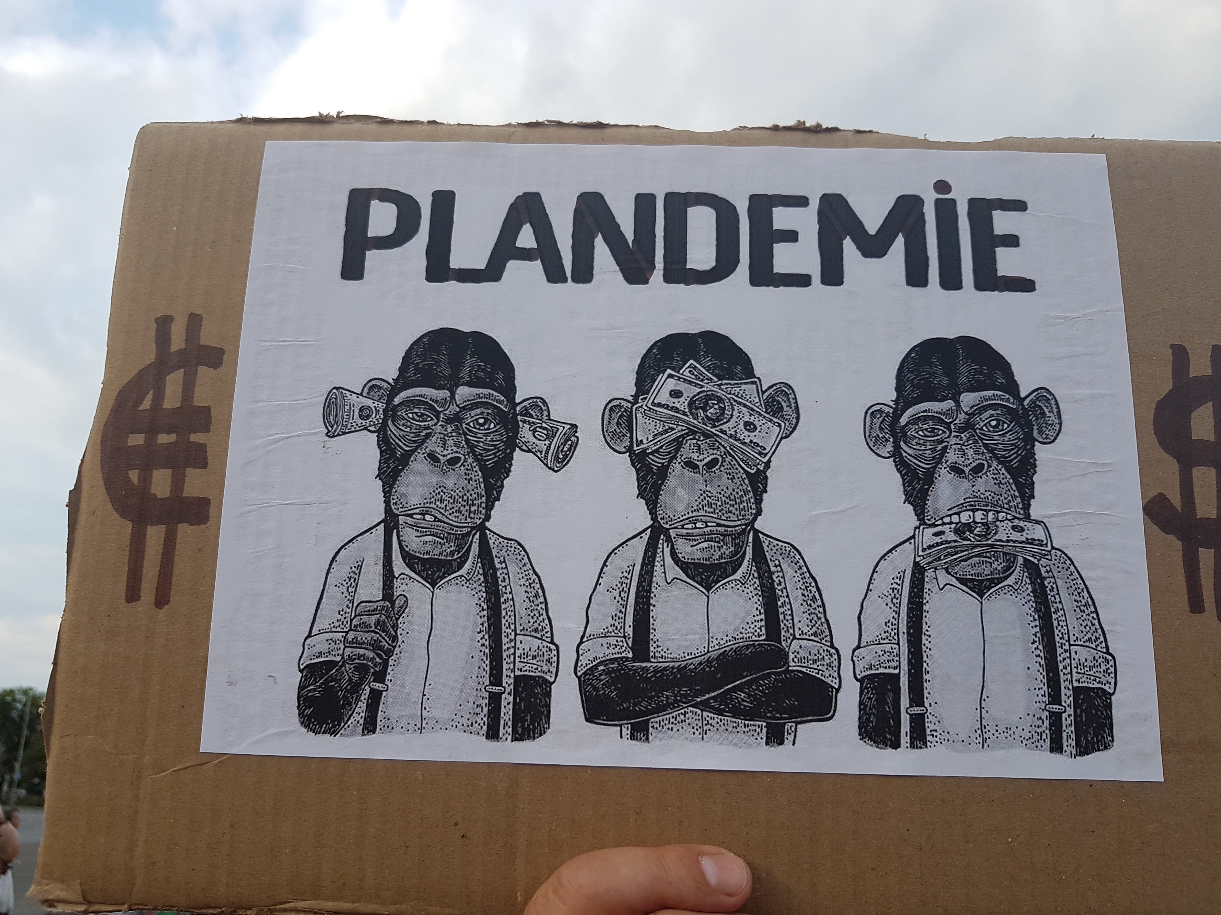 Cum a arătat protestul din Piaţa Victoriei împotriva restricţiilor cerute de premierul Ludovic Orban