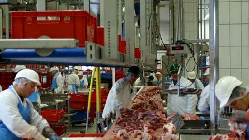 Anchetă penală împotriva managerilor abatorului din Germania, unde peste 1000 de români au fost depistați cu COVID/ Anchetatorii au descoperit „condiții catastrofale” de cazare