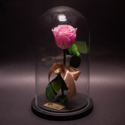 Aranjamente florale speciale sau trandafiri criogenați?