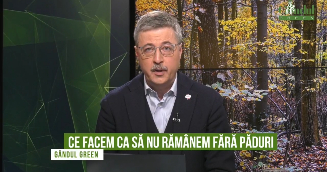 GÂNDUL GREEN. Ce facem ca să nu rămânem fără păduri? Cristian Neagoe, Greenpeace: „11 milioane de români sunt în stare de risc. Mai avem 6% umbră la câmpie. Este o problemă de siguranță națională”/ Ciulacu, ViitorPlus: „Avem un deficit masiv în sudul țării”