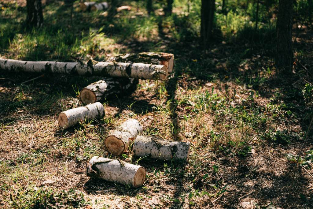De ce merită să deschizi o fabrică de făcut peleți