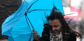 Avertizare nowcasting: Meteorologii au emis cod galben de vânt în București și în județul Ilfov! Trafic îngreunat în țară, din cauza vremii nefavorabile