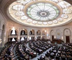 Plenul senatului României a votat desființarea Institutului Revoluției Române