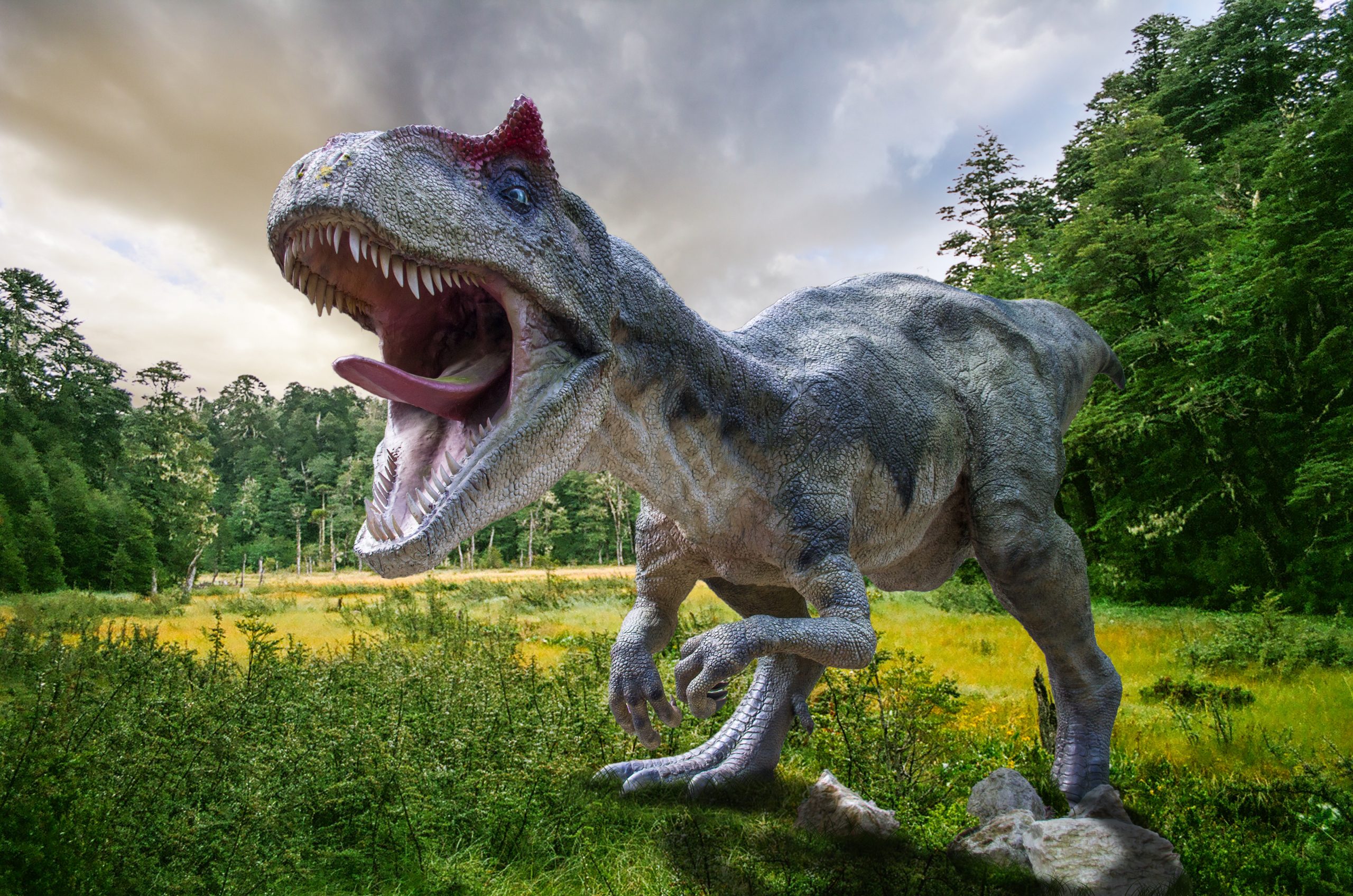 O nouă teorie despre dispariția dinozaurilor explicată de fizicianul Cristian Presură:„E surprinzător, noi credeam până acum că ar fi fost un asteroid”