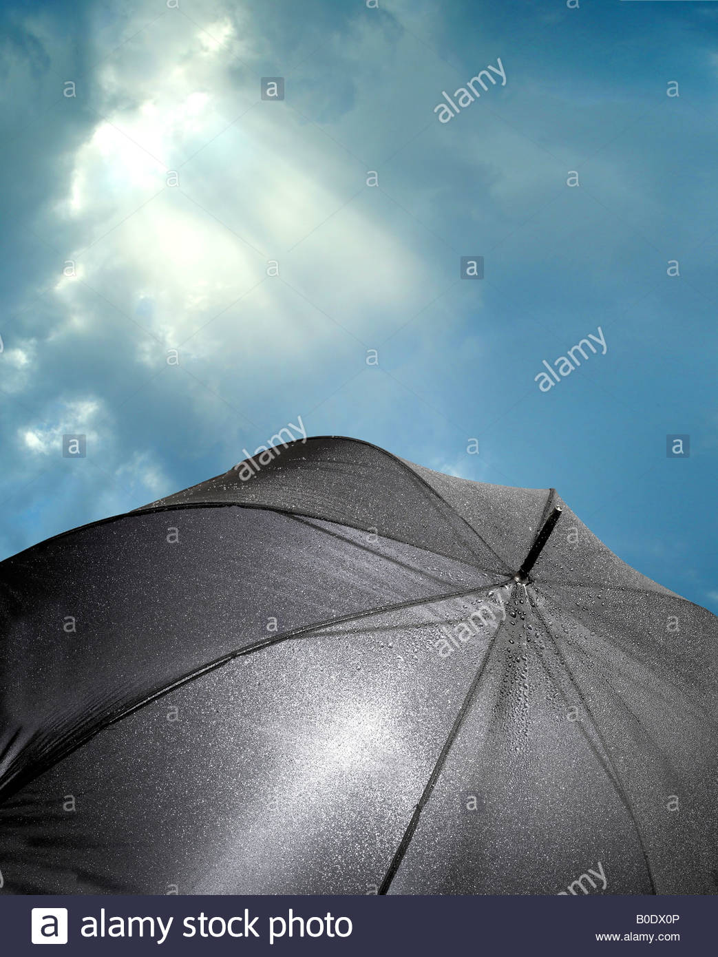 Metafore pe maidan …