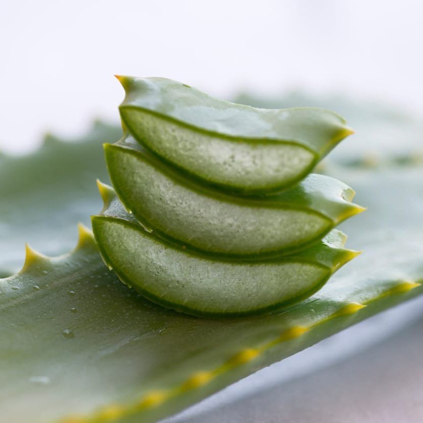De ce este Aloe Vera o plantă minune?