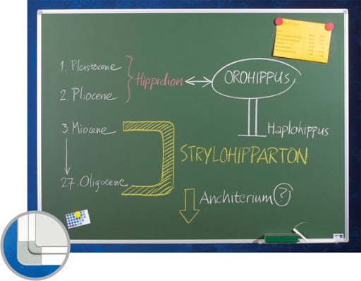 Tipuri de table scolare. Care este cea mai buna?