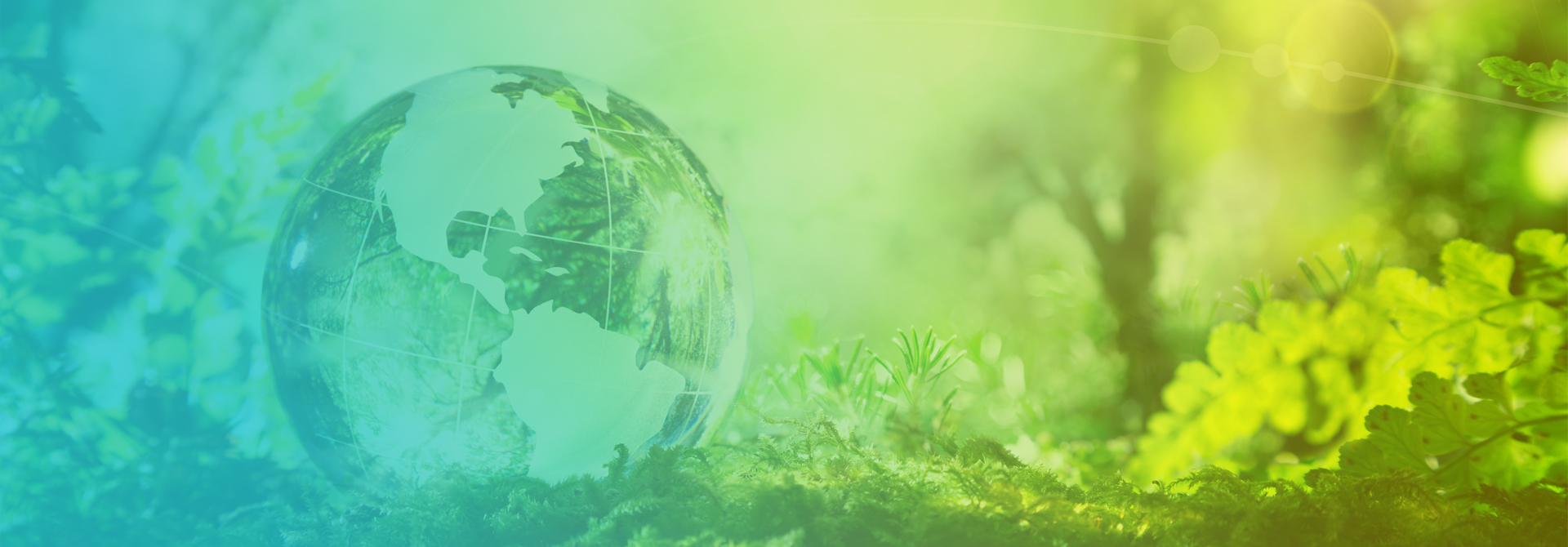 Alternativa ideala pentru gestionarea deseurilor: colaborarea cu un OIREP!