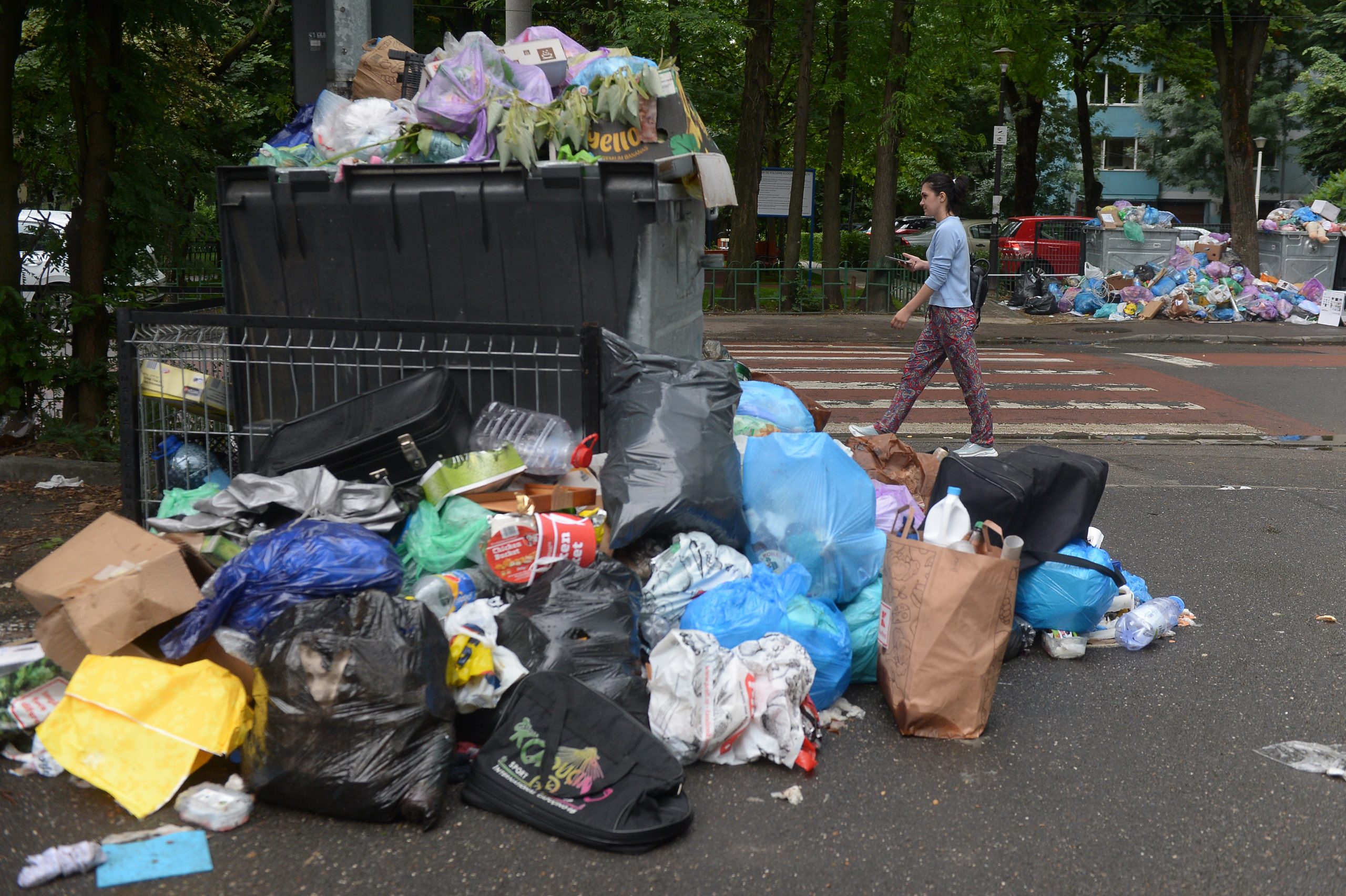 „Tarifele pentru activitățile de salubrizare stradală și colectare separată au fost stabilite prin HCL”
