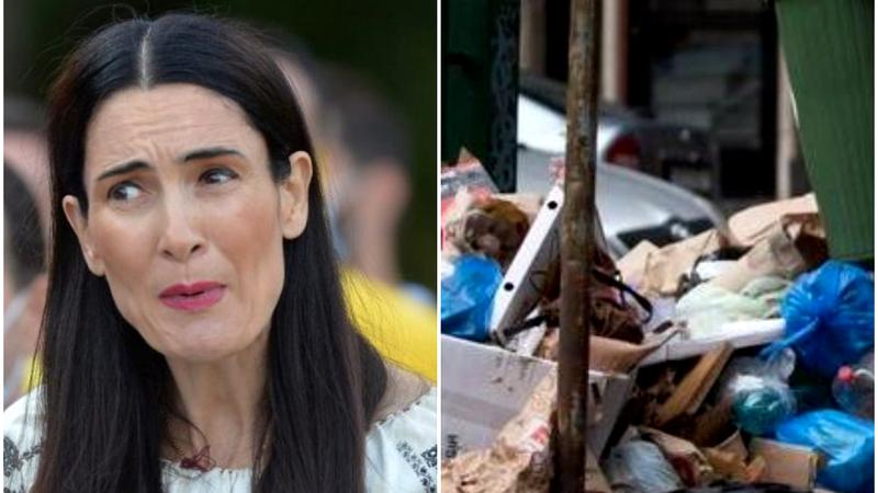 Clotilde Armand să dovedească că a inițiat o negociere amiabilă cu cei de la Romprest, așa cum prevede contractul