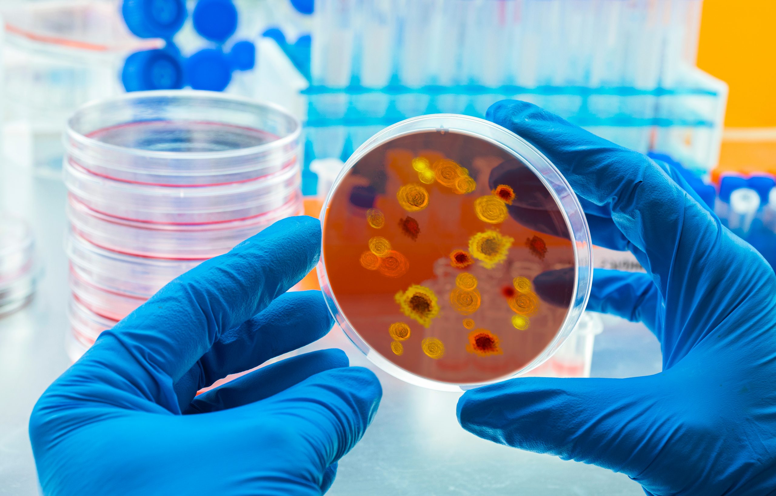 Două boli infecțioase ar putea afecta miliarde de oameni din cauza încălzirii globale