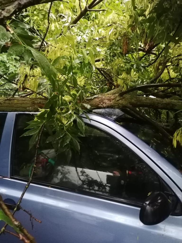 Tragedie în Mureș. O familie cu doi copii, strivită de un copac doborât de furtună. Din primele informații, băiețelul de 5 ani nu ar fi supraviețuit