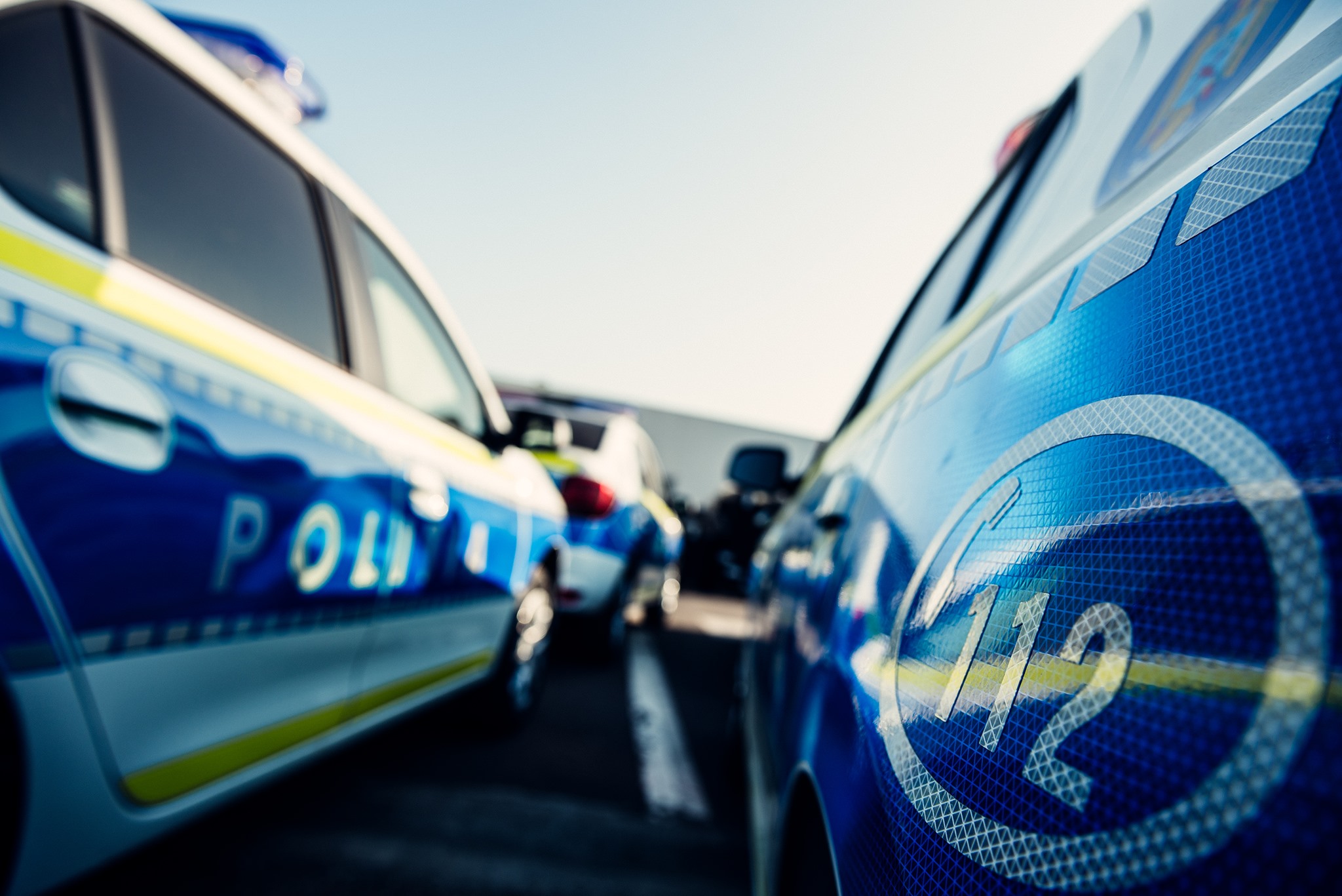 Un tânăr dispărut într-o pădure de lângă București a fost căutat 11 ore de polițiști. S-a rătăcit după ce a crezut că este urmărit de o fantomă uriașă