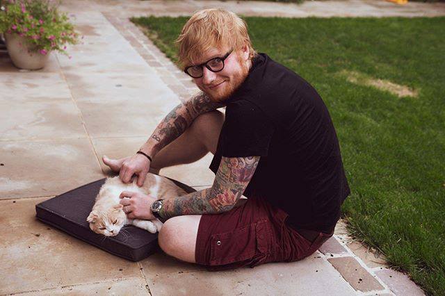 ​Ed Sheeran anunţă că are Covid-19