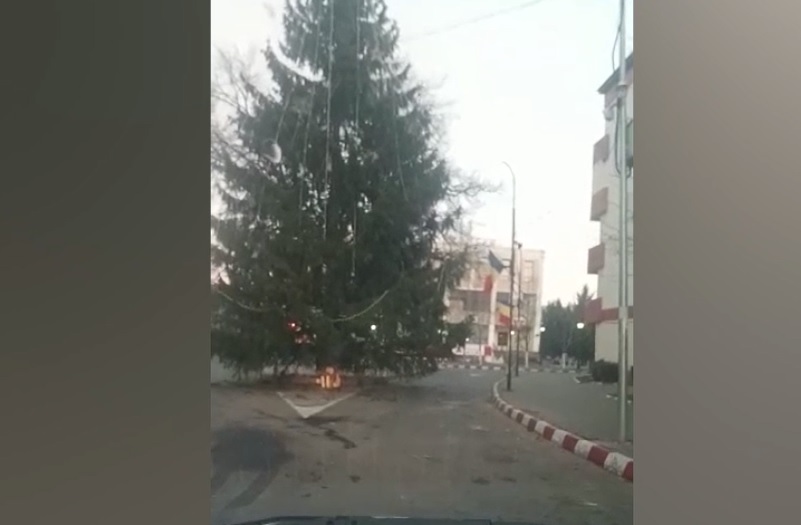 Brad de Crăciun, montat în mijlocul unei intersecții. Circulația, îngreunată