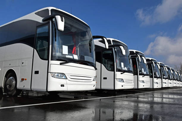 Vă recomandăm această companie!