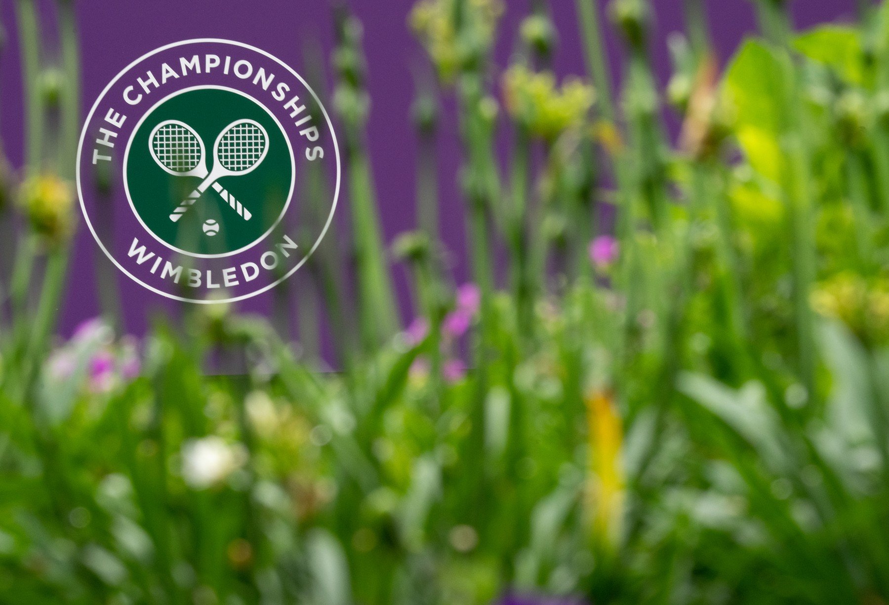 Wimbledon 2022: Organizatorii renunță la una dintre tradițiile de la All England Club