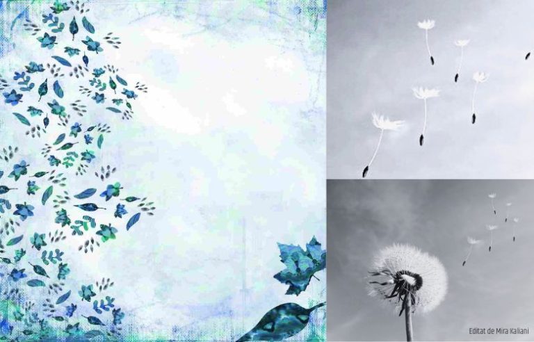 editiadedimineata.ro: Ce vânt te aduce? „Deși are o oarecare teamă de vânt, țăranul îl crede însă și folositor”