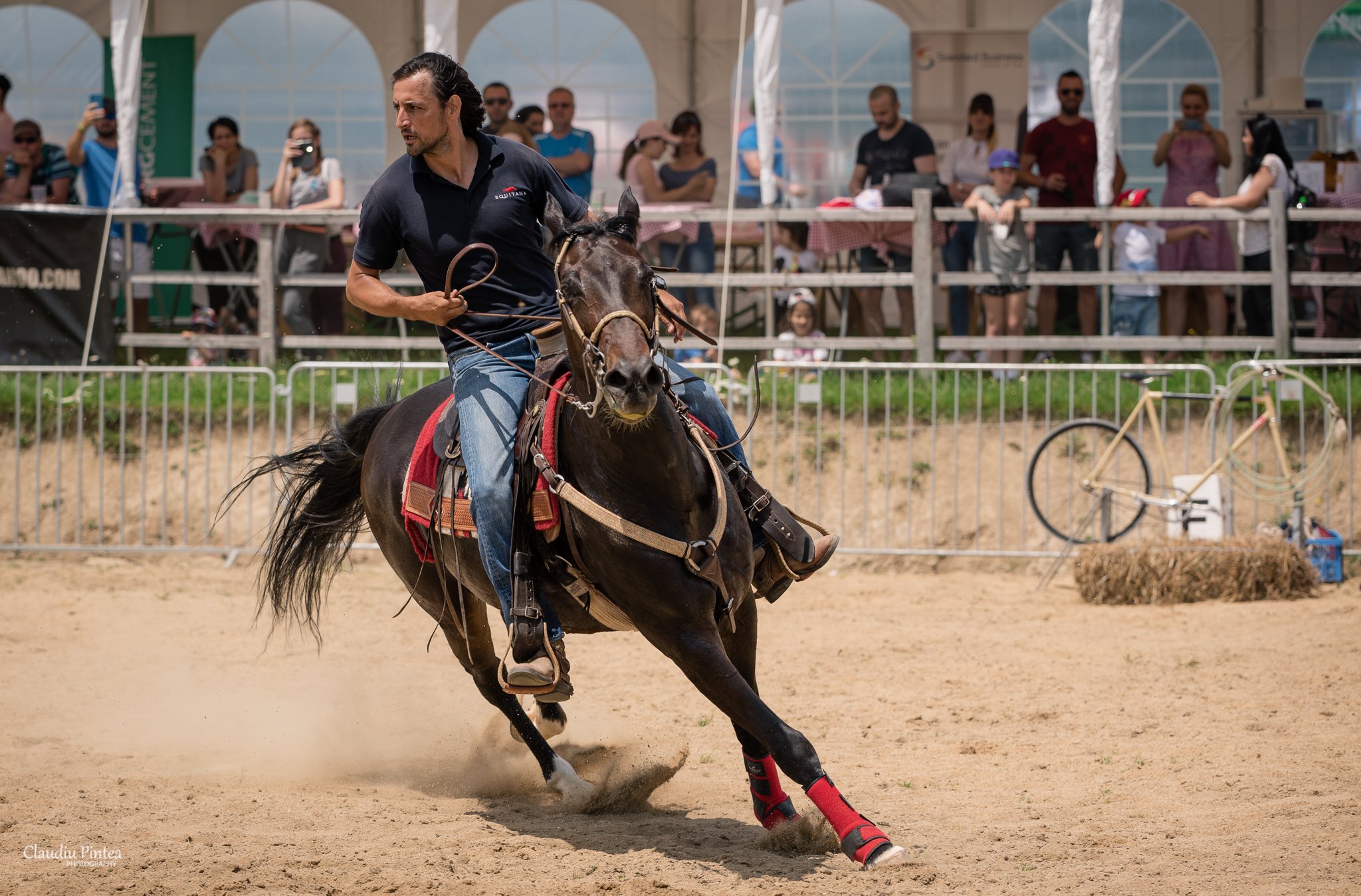 Haidook Summer Fest 2022: Celebrăm caii, oamenii și locurile – webPR