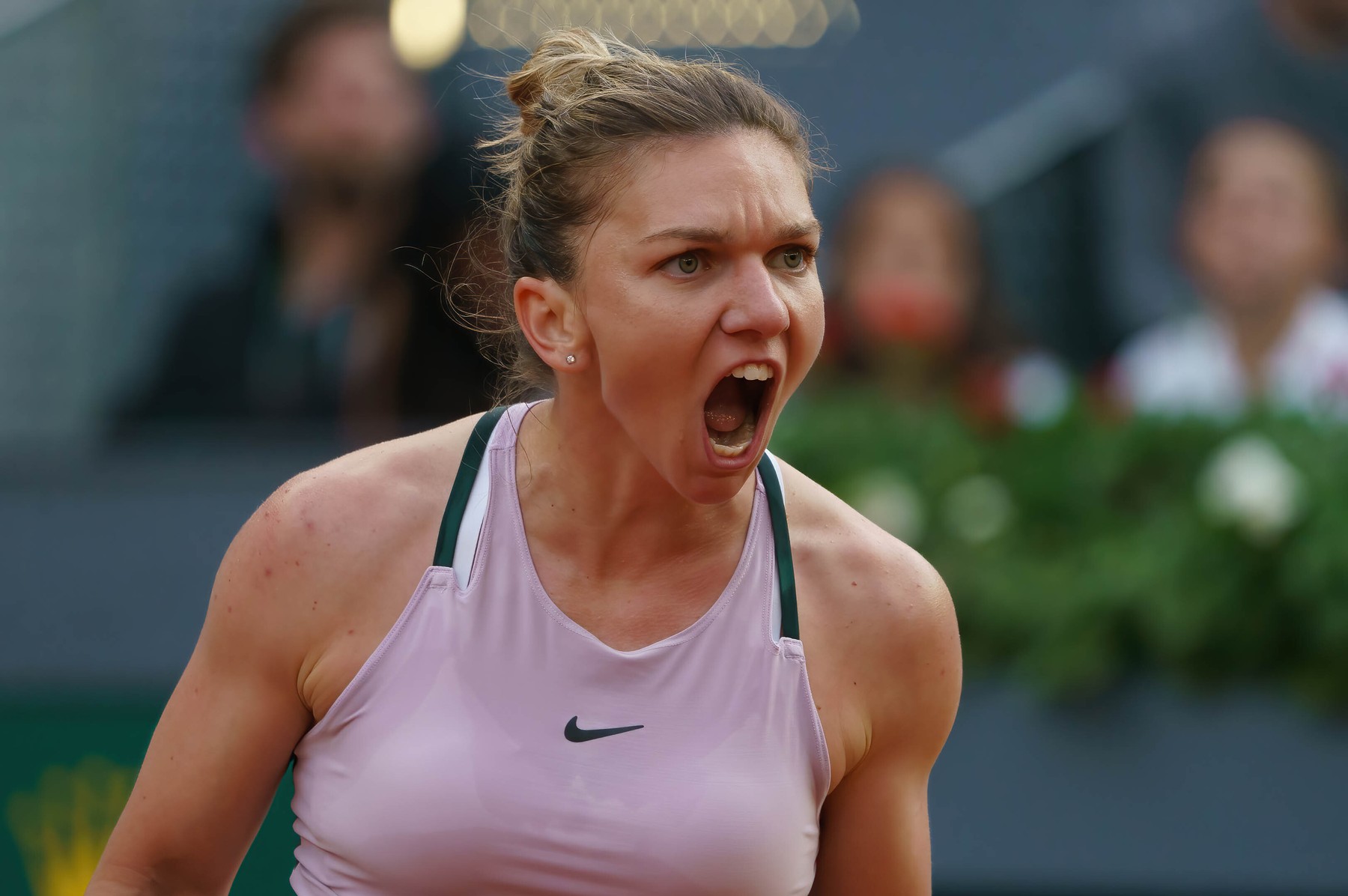 National Bank Open 2022: Simona Halep, pe lista capilor de serie de la Toronto / Novak Djokovic, pe tabloul de la Montreal