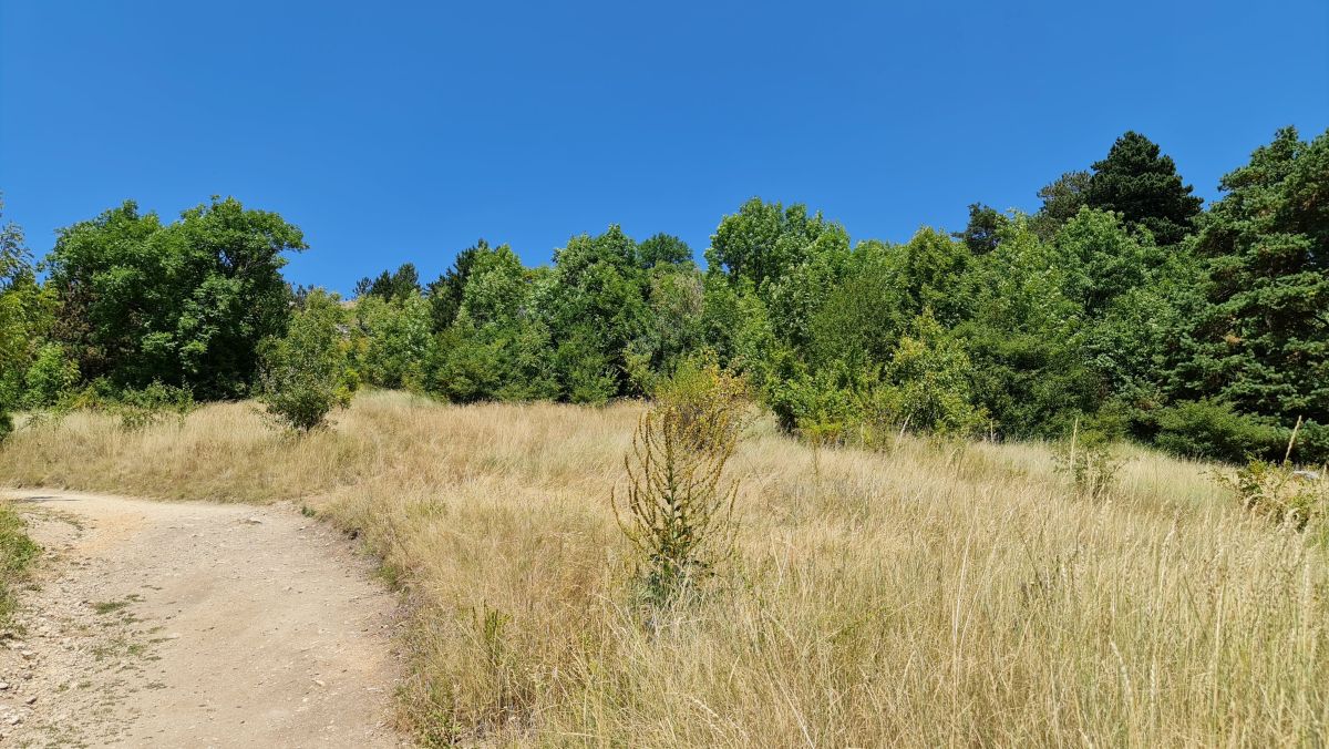 Unde au fost depășite recordurile de temperatură în iulie și în ce orașe a plouat cel mai puțin