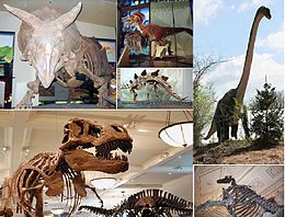 Cel mai vechi dinozaur din Africa a fost descoperit în Zimbabwe