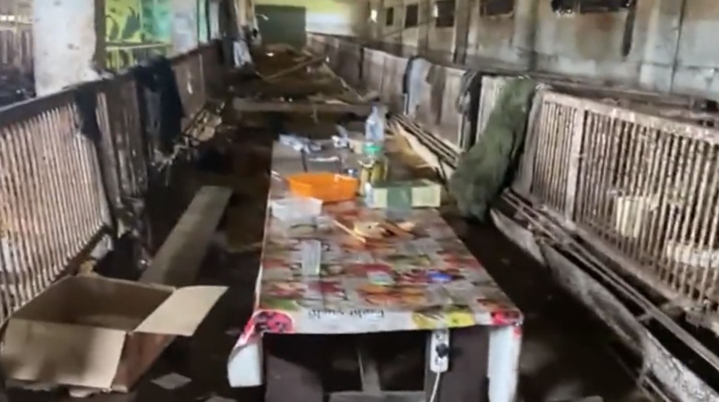 VIDEO „Le-au dat lacrimile de râs”. Cum dormeau împreună cu porcii soldații lui Putin din Herson. PLUS: Nu lipsesc mașinile de spălat furate