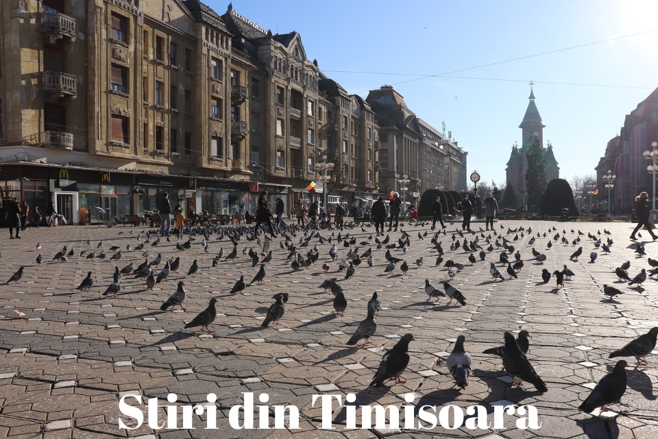 Stiri din Timisoara, unul dintre cele mai citite ziare locale online din Timisoara