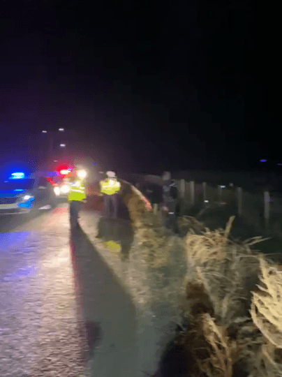 Șofer de 20 de ani resuscitat după un accident în Argeș VIDEO