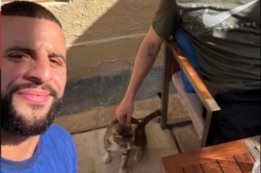 Walker şi Stones vor adopta o pisică găsită…