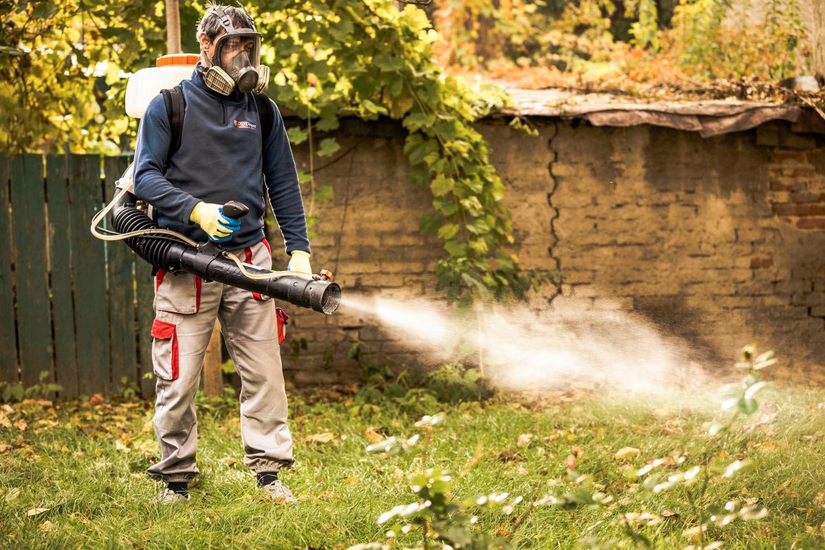 DDD Nord te ajută să previi şi să combaţi eficient invaziile de ţânţari