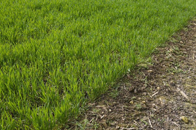 Economia Rusiei nu suferă în totalitate. Veniturile au crescut într-un domeniu cu 70% în anul 2022