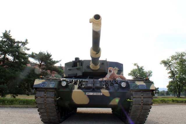 Franţa şi Polonia presează Germania să trimită tancuri Leopard în Ucraina