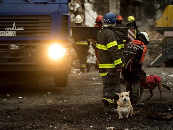 Imaginea articolului Procurorii ucraineni, date despre copiii ucişi şi răniţi de către armata rusă
