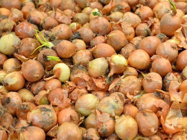 Criza cepei face să plângă puteri nucleare, regi ai petrolului şi cerşetori deopotrivă