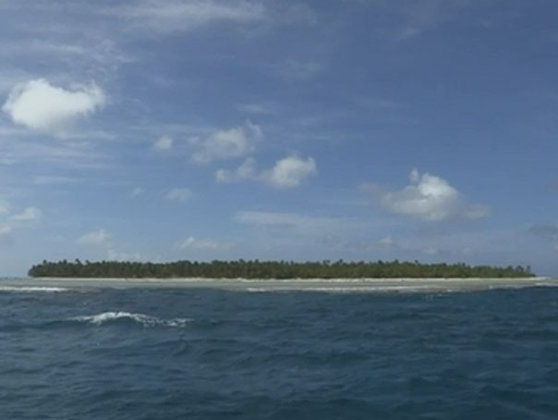 Imaginea articolului Legătura dintre nivelul mărilor şi oceanelor şi pacea mondială, temă românească la ONU