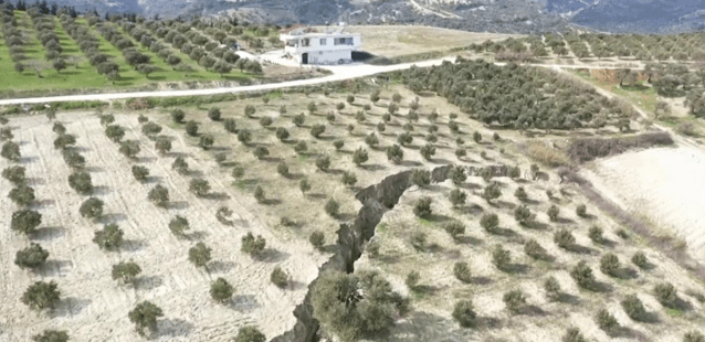 Câmp de măslini, rupt în două de cutremur