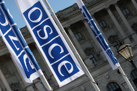 Imaginea articolului O delegaţie rusă se va afla joi la Viena, pentru adunarea OSCE. Replica Ucrainei
