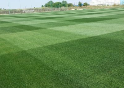 De ce sa construiesti un teren sportiv cu iarba naturala?