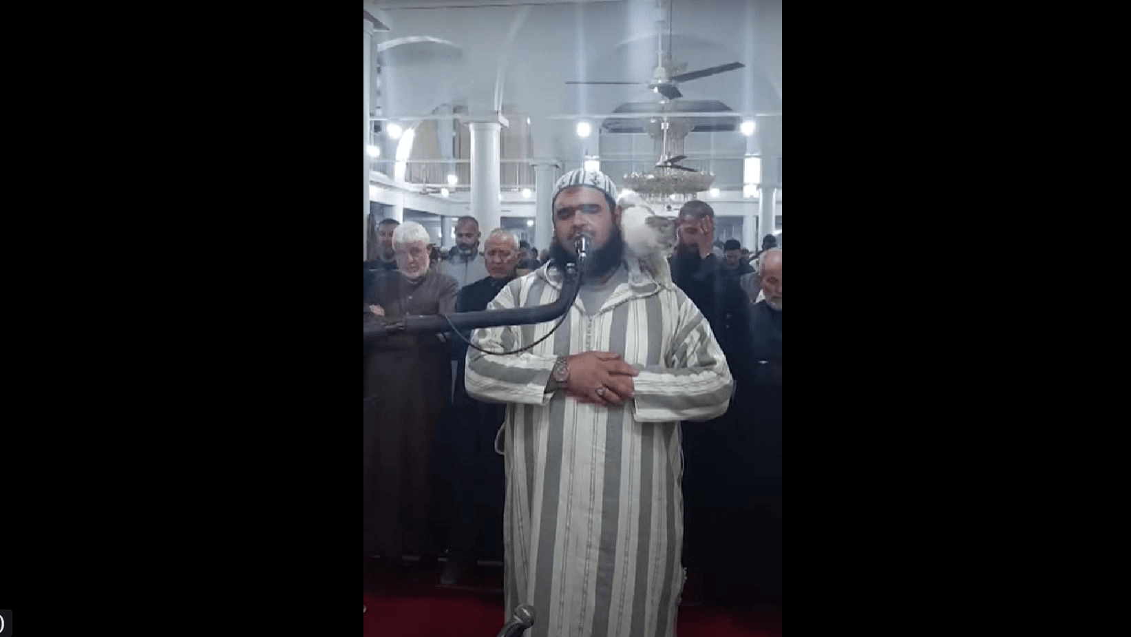 O pisică a sărit pe un iman, în timpul rugăciunii de Ramadan. Cum a reacționat acesta VIDEO