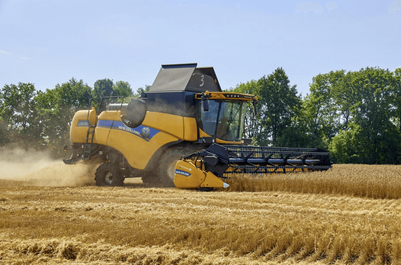 Polonia: O comisie de anchetă va investiga posibile fraude în operaţiunile de import de cereale din Ucraina