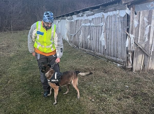 Bărbat cu sindrom Down, dat dispărut, găsit după 24 de ore de căutări, cu ajutorul unui câine de urmă