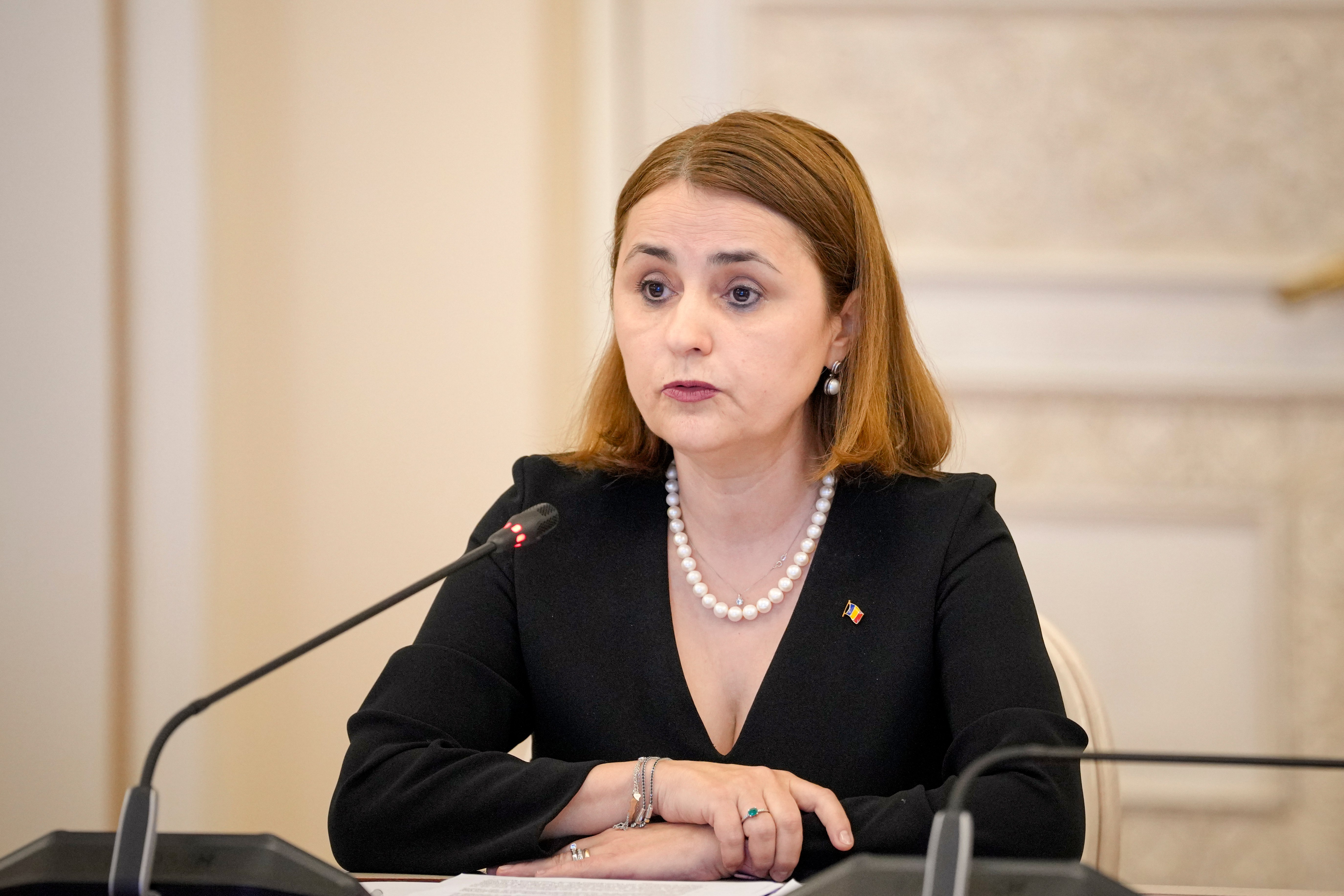 Odobescu: Spațiul Schengen va fi mai puternic atunci când România va fi membru cu drepturi depline