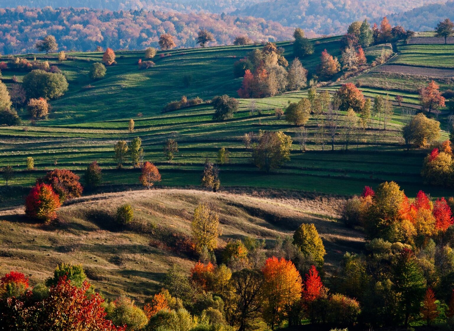 De ce să vizitezi Bucovina toamna? Iată 3 motive pentru un concediu în Țara de Sus